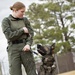 Paws on the ground: Military Working Dog handler experience