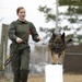 Paws on the ground: Military Working Dog handler experience