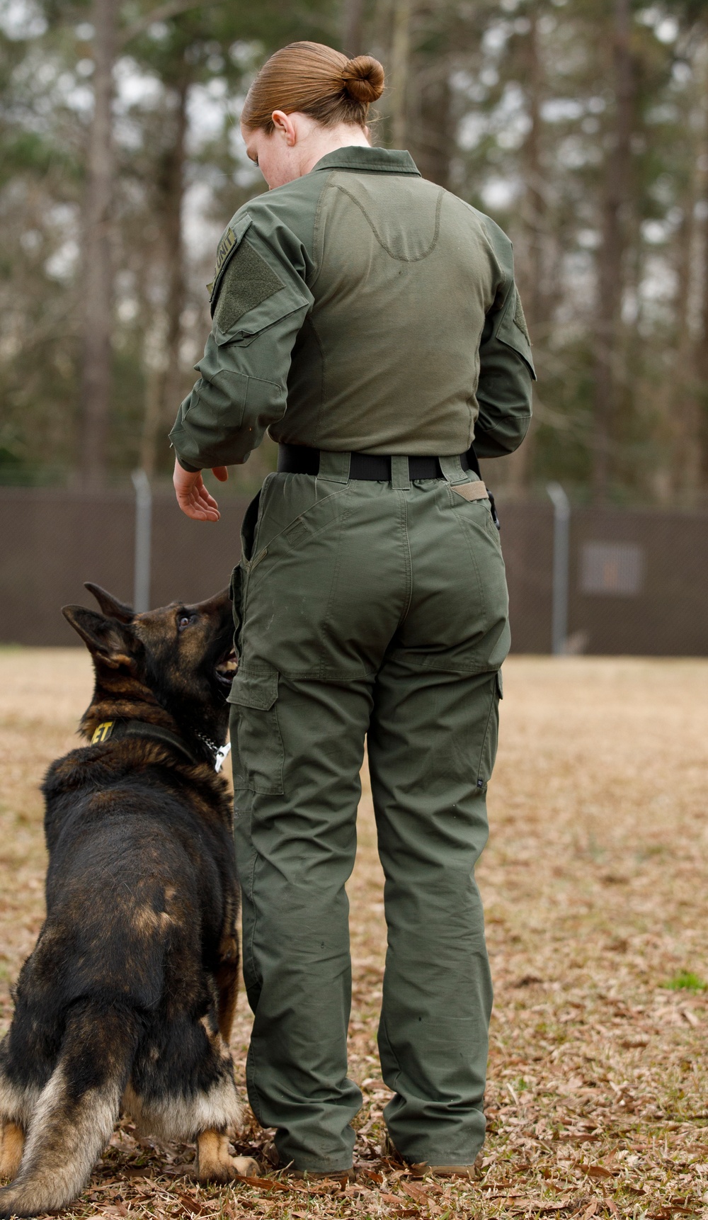 Paws on the ground: Military Working Dog handler experience