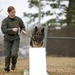 Paws on the ground: Military Working Dog handler experience