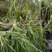 3d Marine Division Marines Conduct Pre-Sniper Course