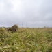 3d Marine Division Marines Conduct Pre-Sniper Course