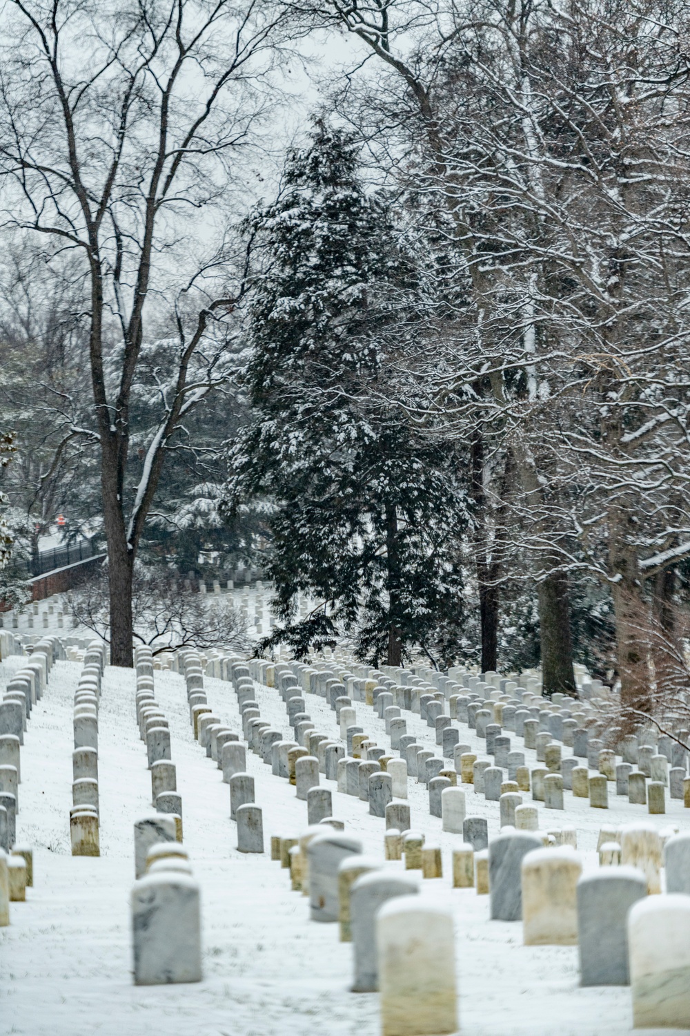 Winter at Arlington National Cemetery 2021