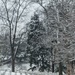 Winter at Arlington National Cemetery 2021