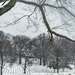 Winter at Arlington National Cemetery 2021