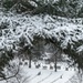 Winter at Arlington National Cemetery 2021