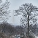 Winter at Arlington National Cemetery 2021