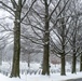 Winter at Arlington National Cemetery 2021