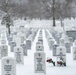 Winter at Arlington National Cemetery 2021