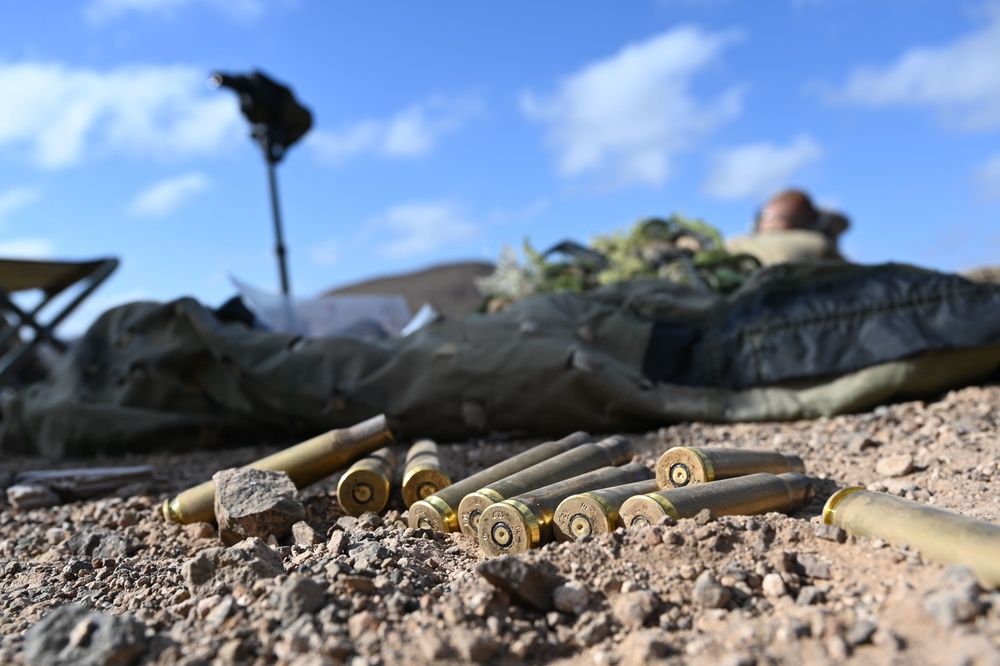 U.S., French conduct joint sniper training