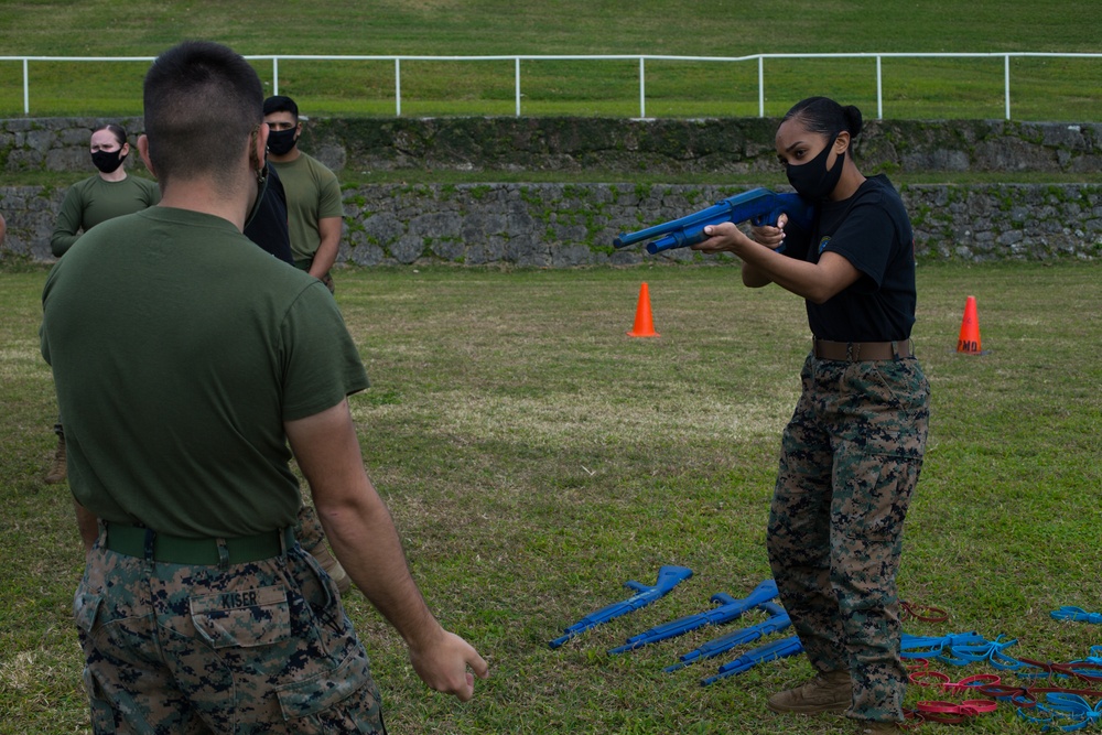 Marines from across III Marine Expeditionary Force conduct Security Augmentation Training