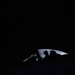 Idaho A-10s Particpate in FARP Exercise