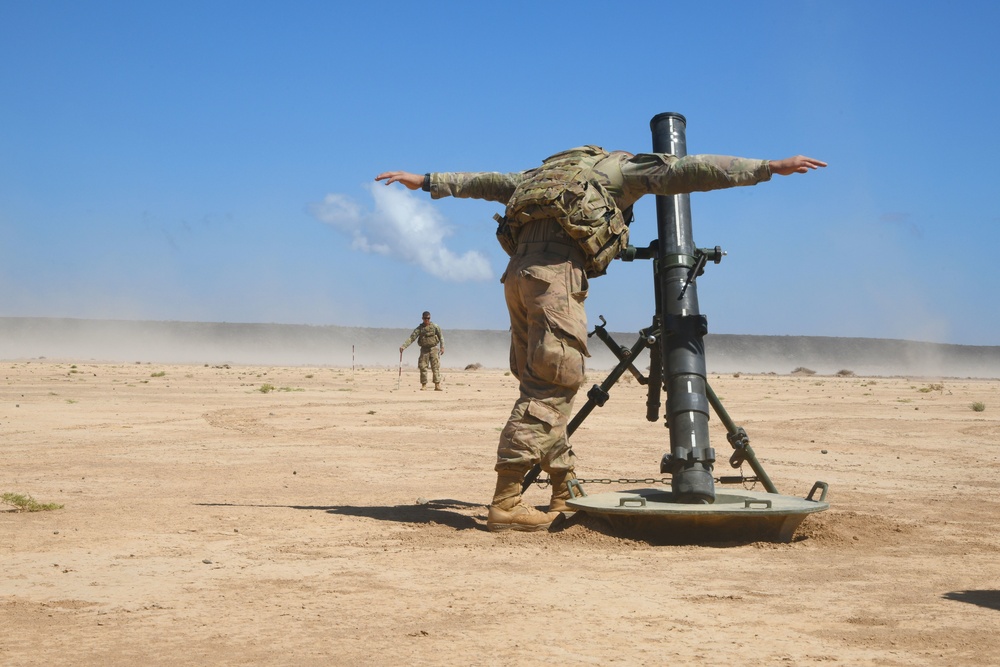 U.S., French forces conduct joint artillery training