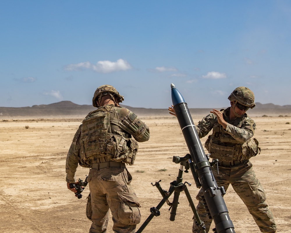 U.S., French forces conduct joint artillery training