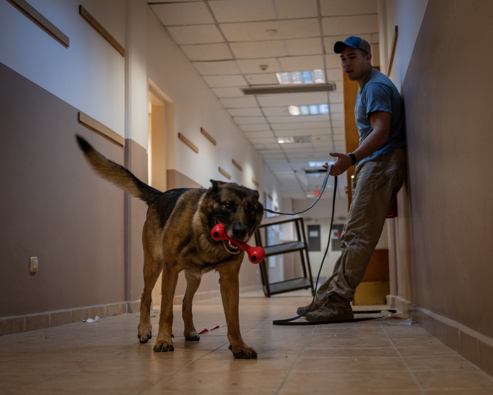 MWD Explosive Detection Training