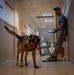 MWD Explosive Detection Training