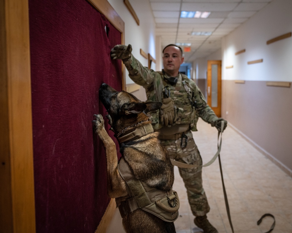 MWD Explosive Detection Training
