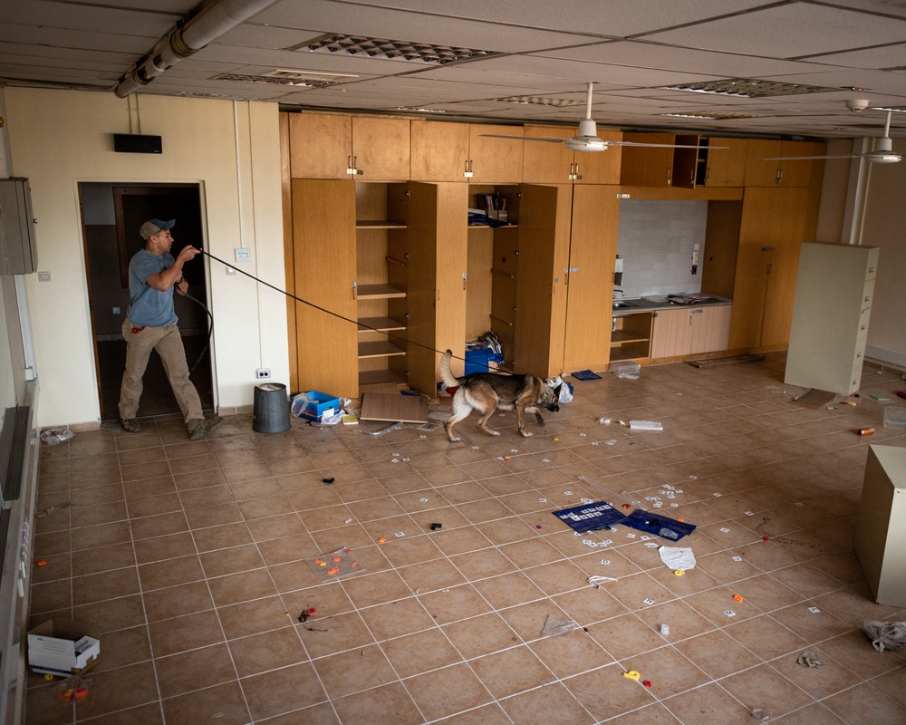 MWD Explosive Detection Training