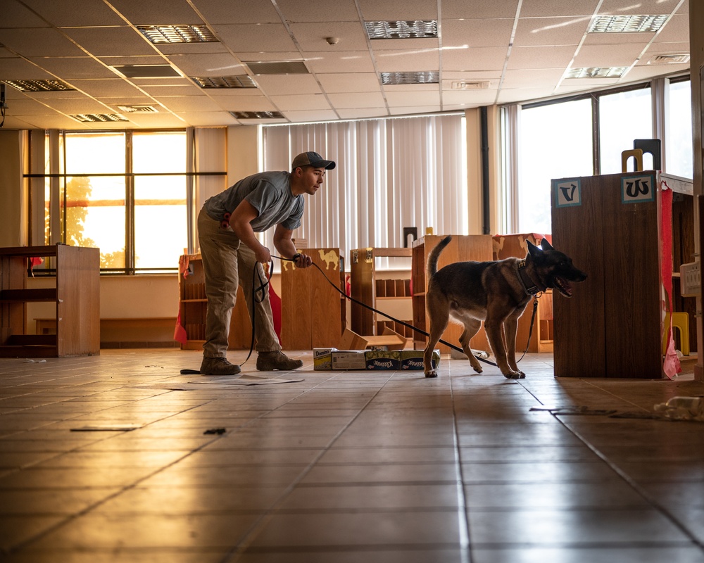 MWD Explosive Detection Training