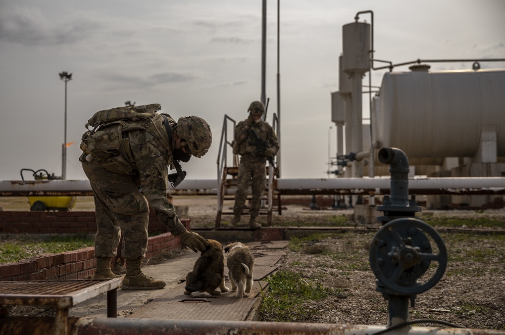 1-6 M2 Bradleys Conduct Area Recon