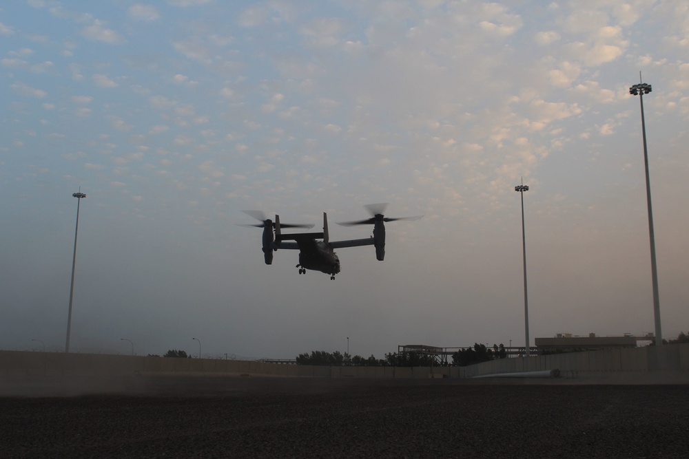 Ospreys move through Port of Shuaiba