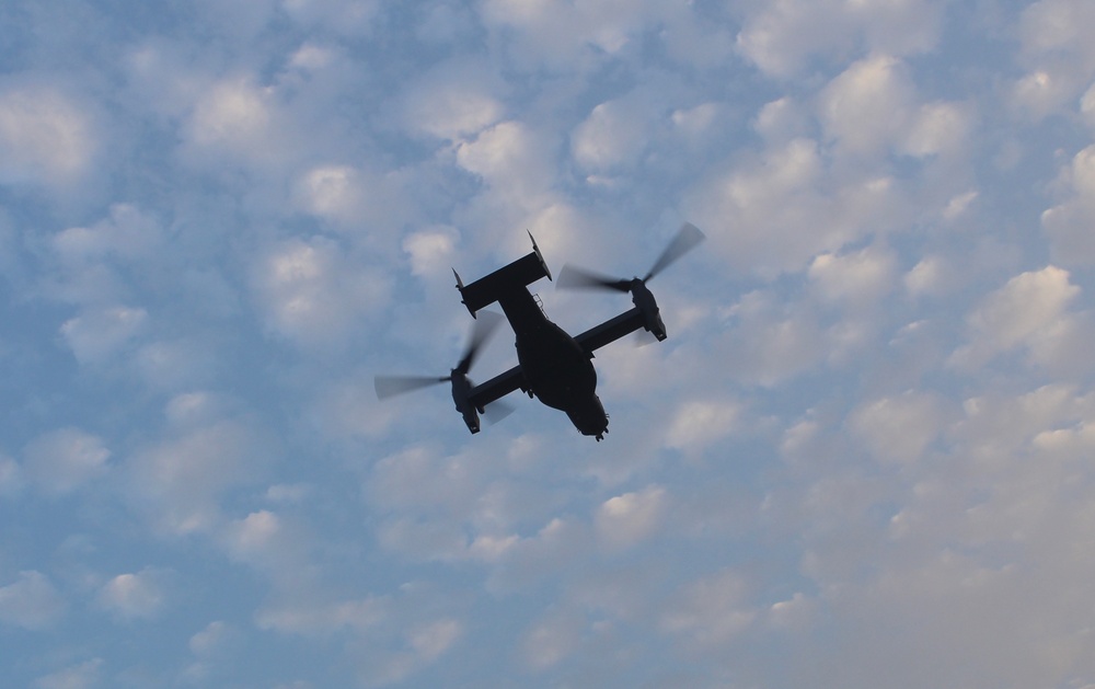 Ospreys move through Port of Shuaiba