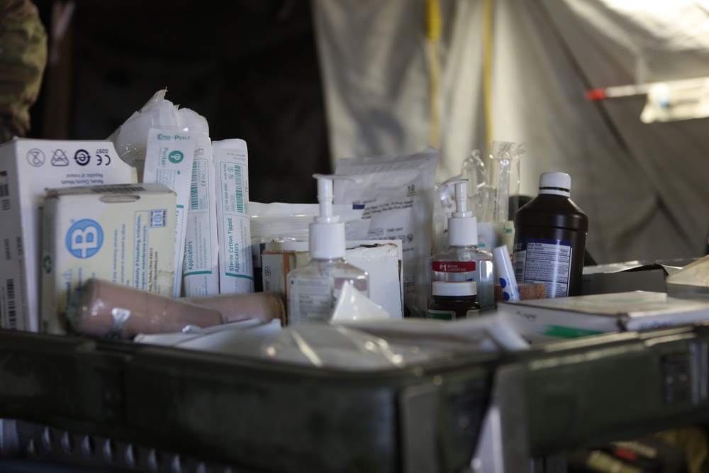 Soldiers seek the expert field medical badge