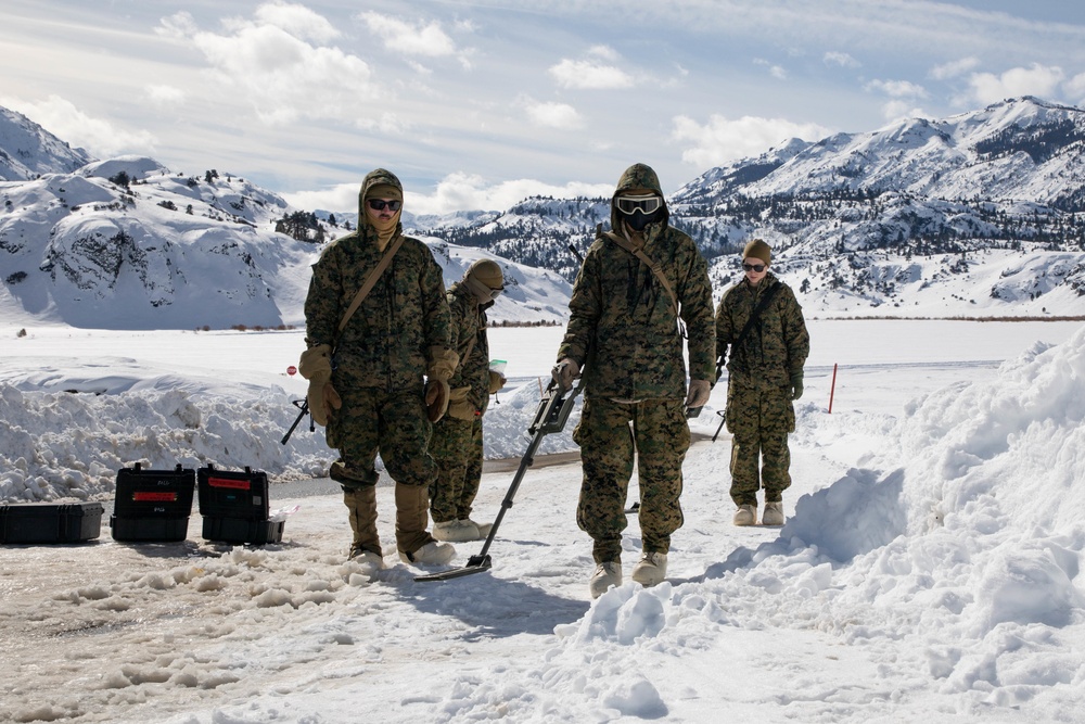 Counter IED Course