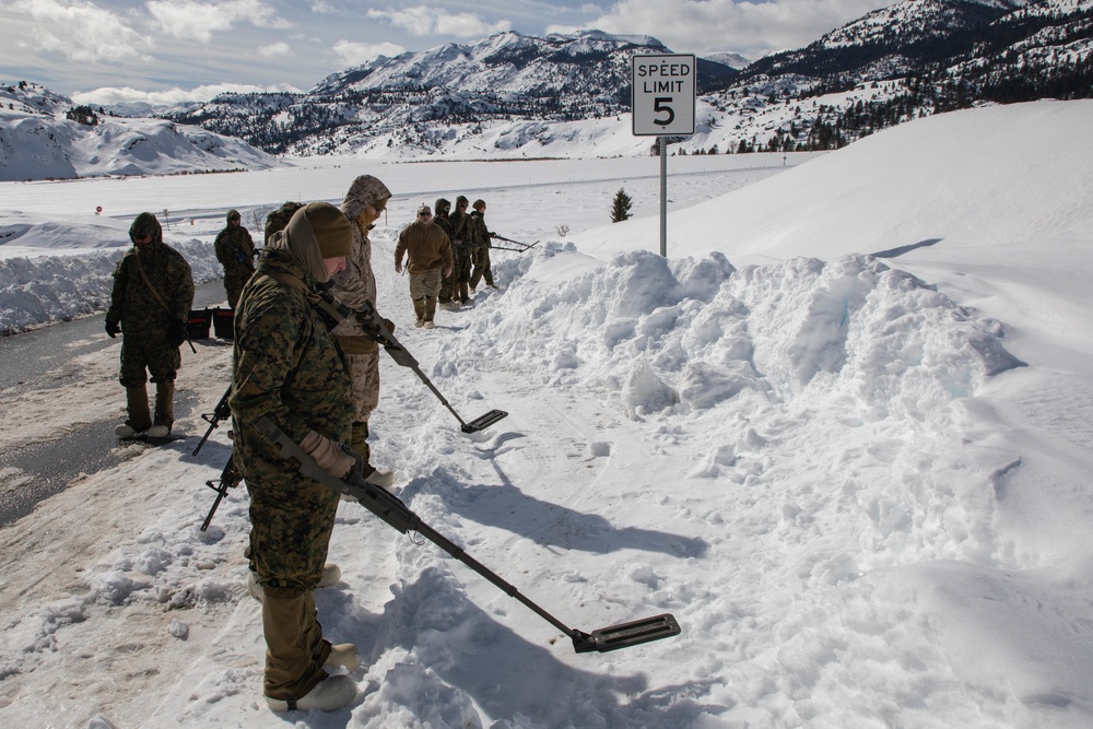 Counter IED Course