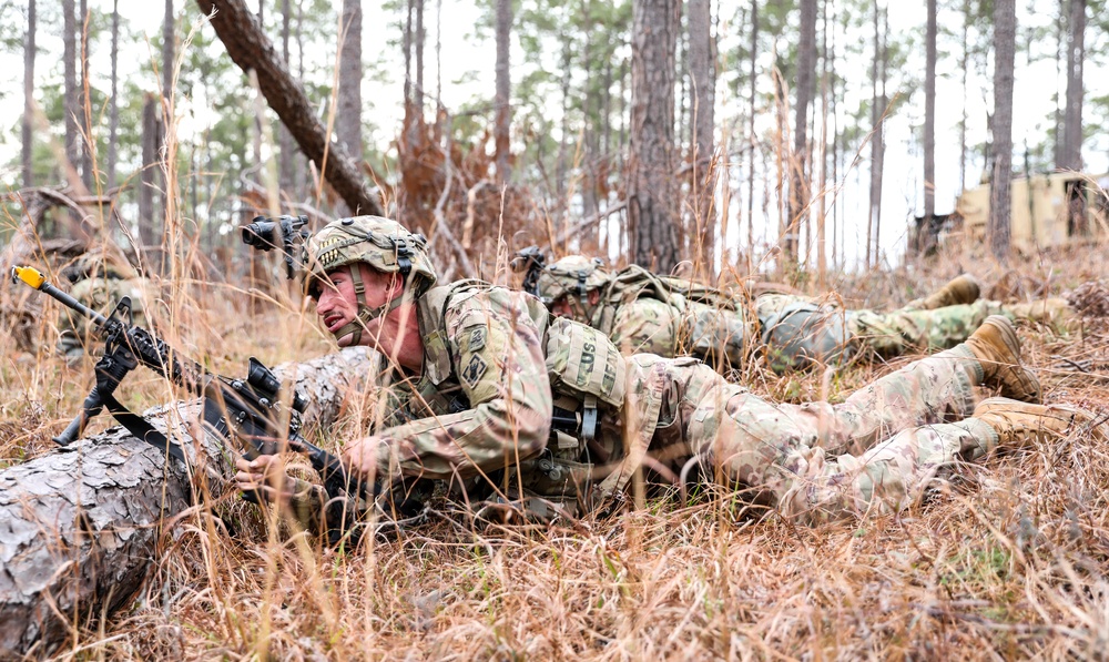 3rd Brigade Panthers Conduct Movement To Contact