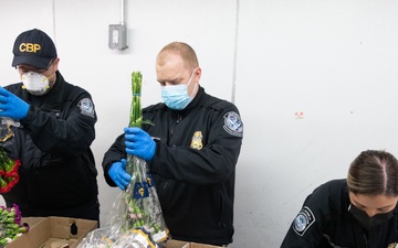 CBP agriculture specialists inspect cut flowers in Miami