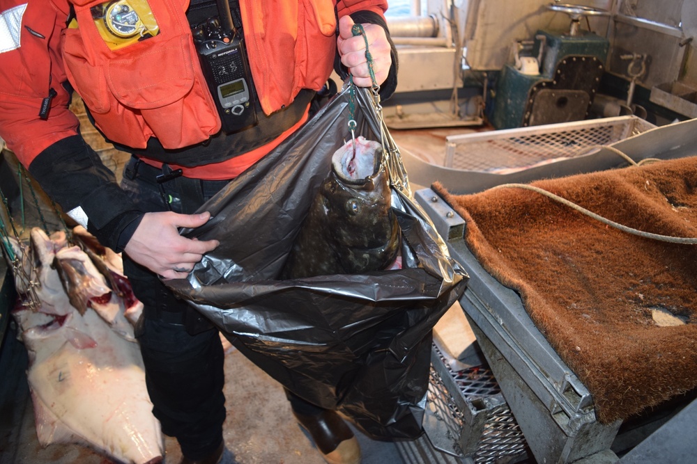 Coast Guard issues commercial fishing violation near Kodiak Island, Alaska
