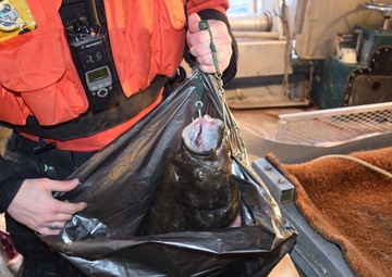 Coast Guard issues commercial fishing violation near Kodiak Island, Alaska