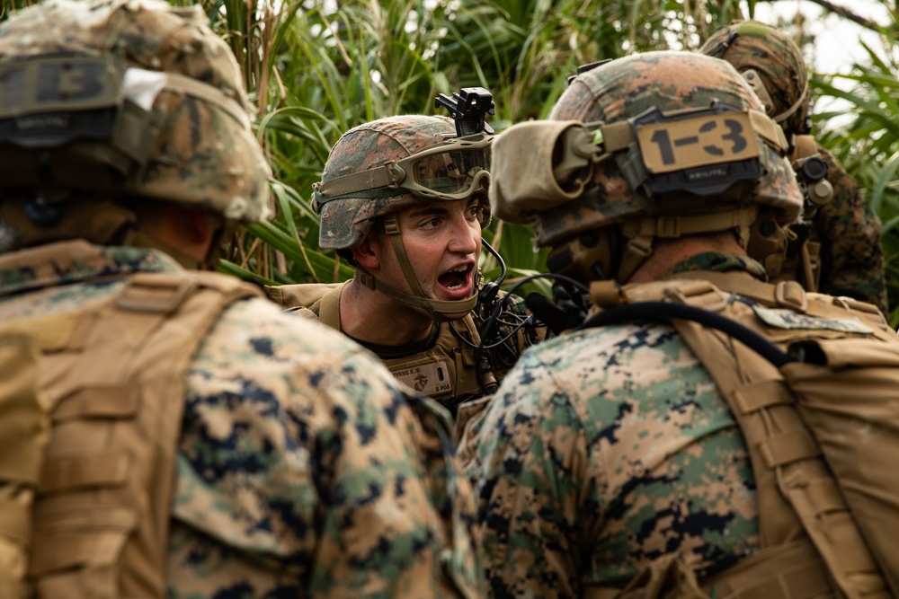 BLT 3/4, 31st MEU conducts TRAP mission