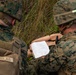 BLT 3/4, 31st MEU conducts TRAP mission