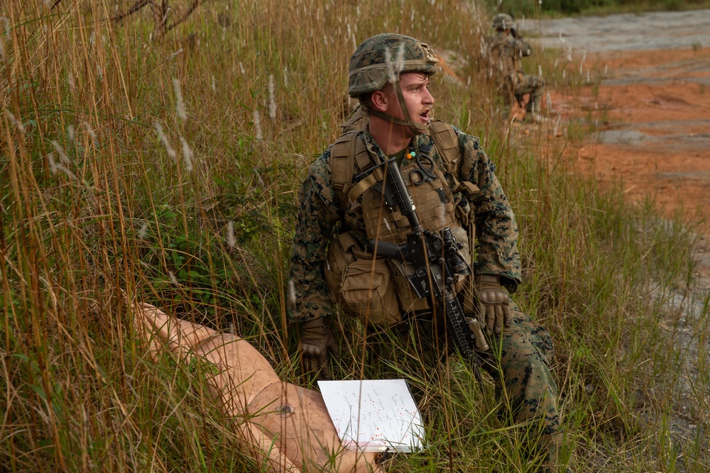 BLT 3/4, 31st MEU conducts TRAP mission