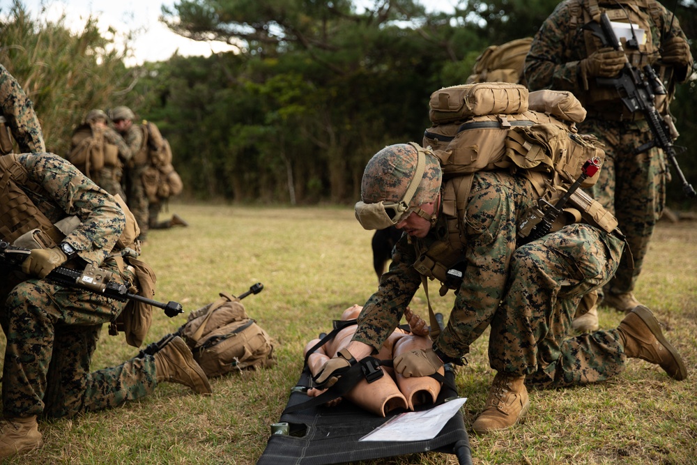 BLT 3/4, 31st MEU conducts TRAP mission