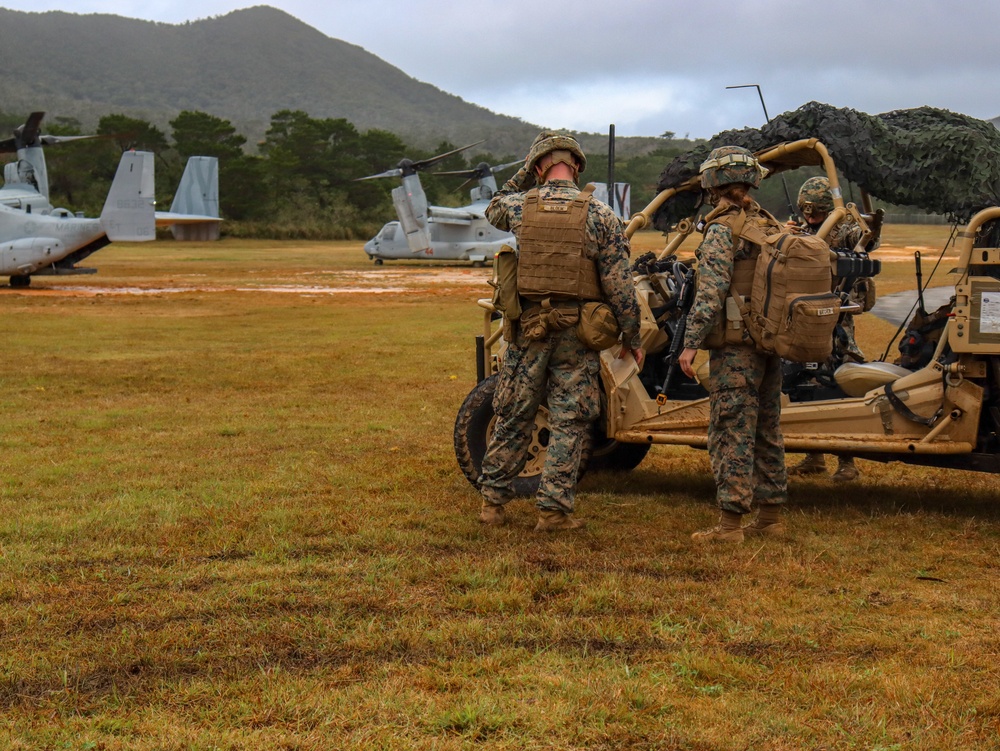 31st MEU trains for non-combatant evacuation