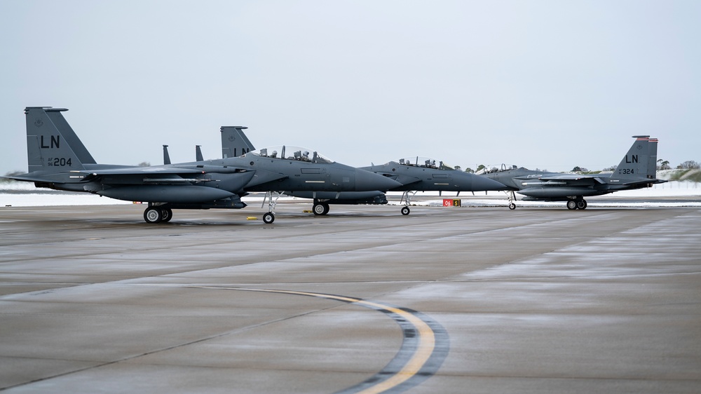 Eagles in the snow