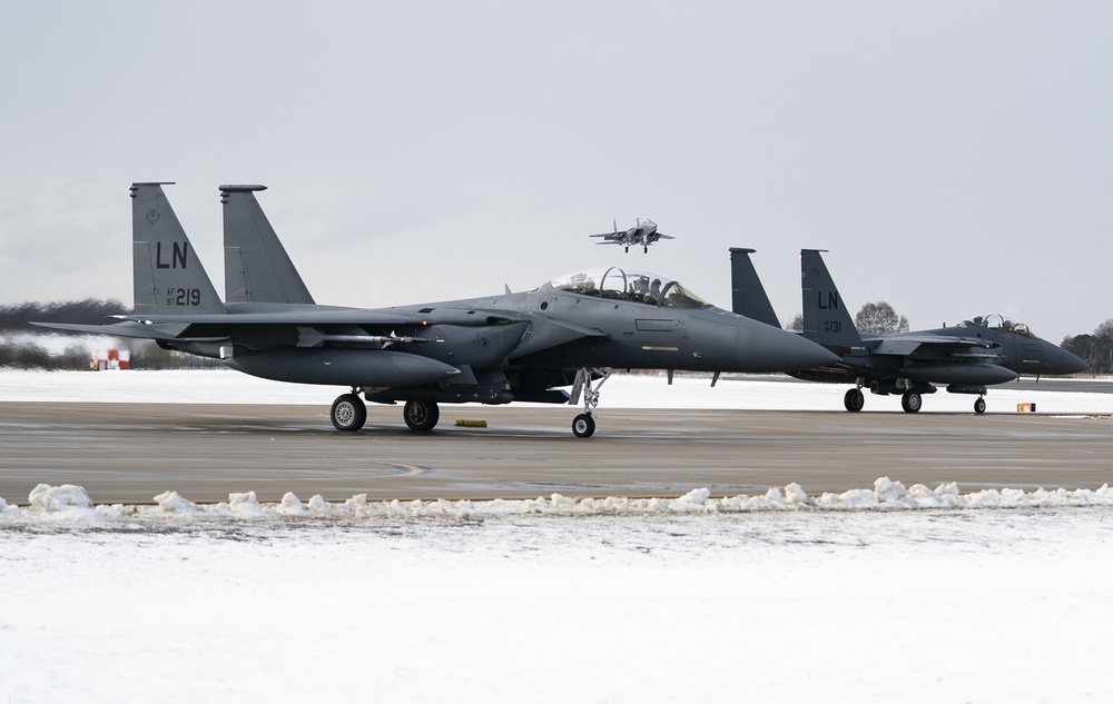 Eagles in the snow