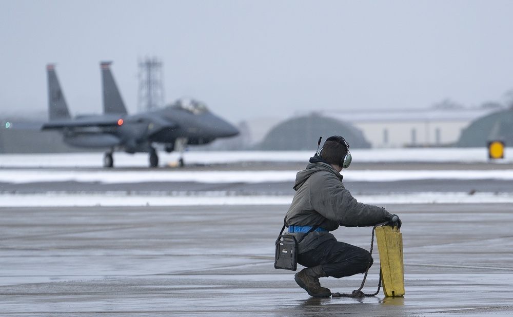 Eagles in the snow