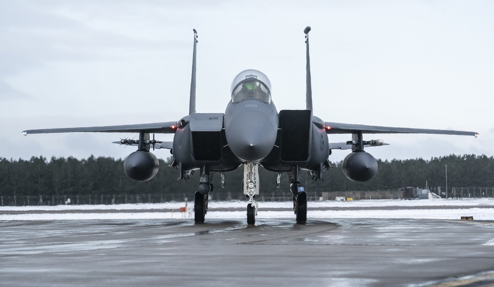 Eagles in the snow