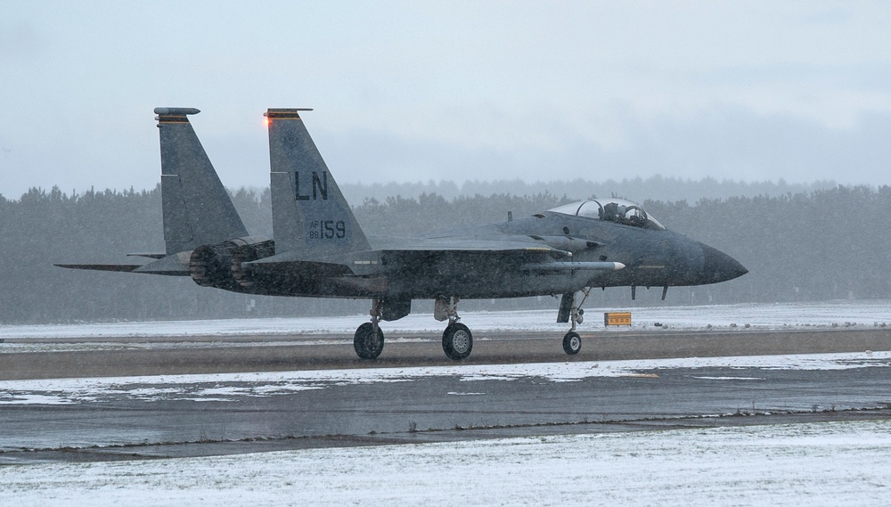 Eagles in the snow