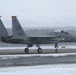 Eagles in the snow