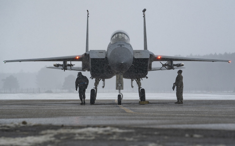 Eagles in the snow