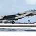 Eagles in the snow