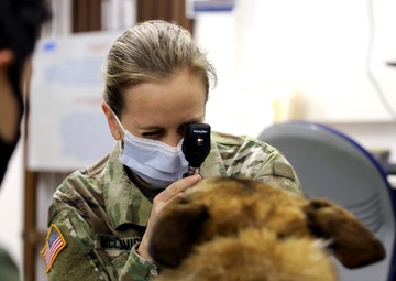 PHCE Veterinarian competes for spot on Armed Forces Soccer Team