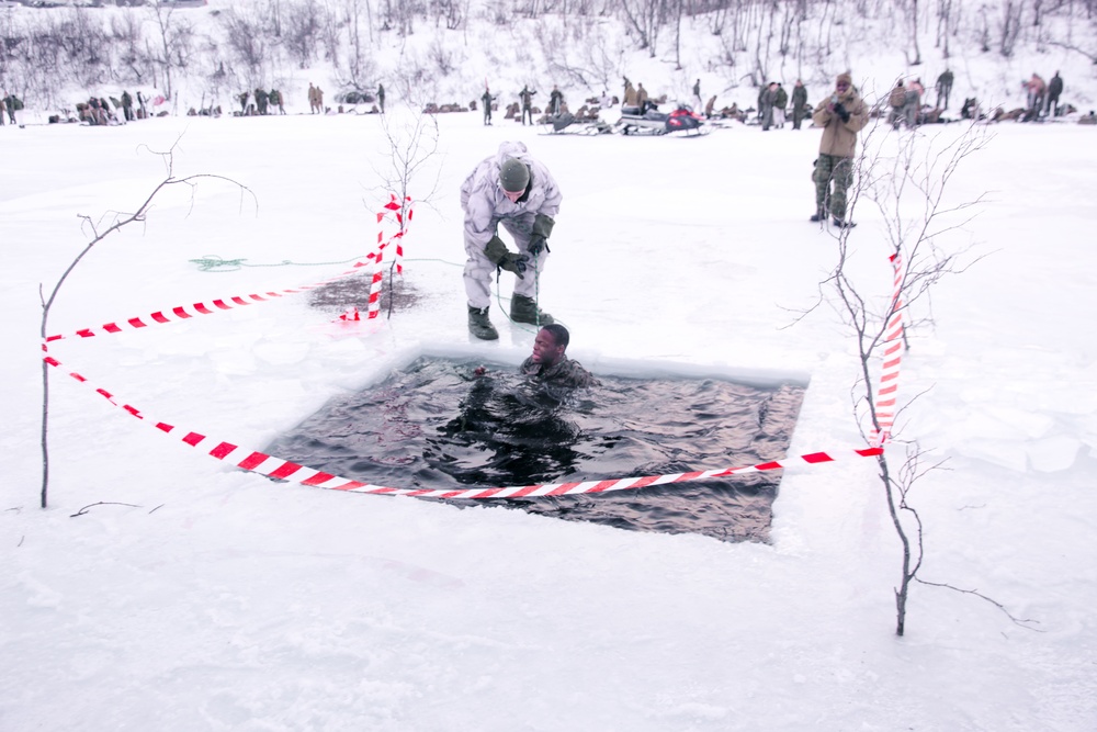 Polar Plunge