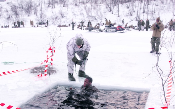 Polar Plunge