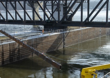 ERDC researcher uses sound to sustainably deter invasive Asian carp in USGS project